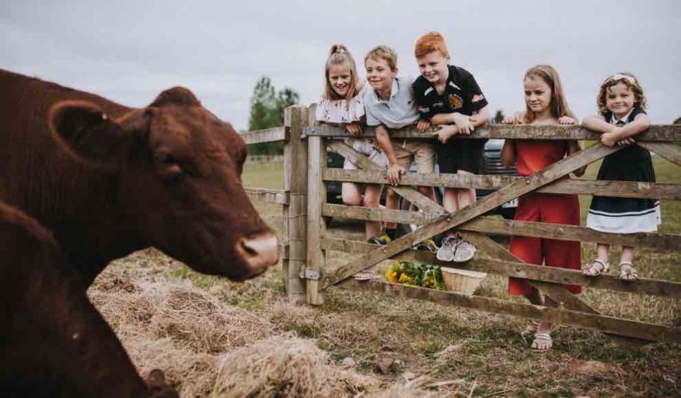 Open Farm Sunday at Darts Farm The Exeter Daily